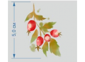 Термотрансфер Шиповник (5,0х5,1см)