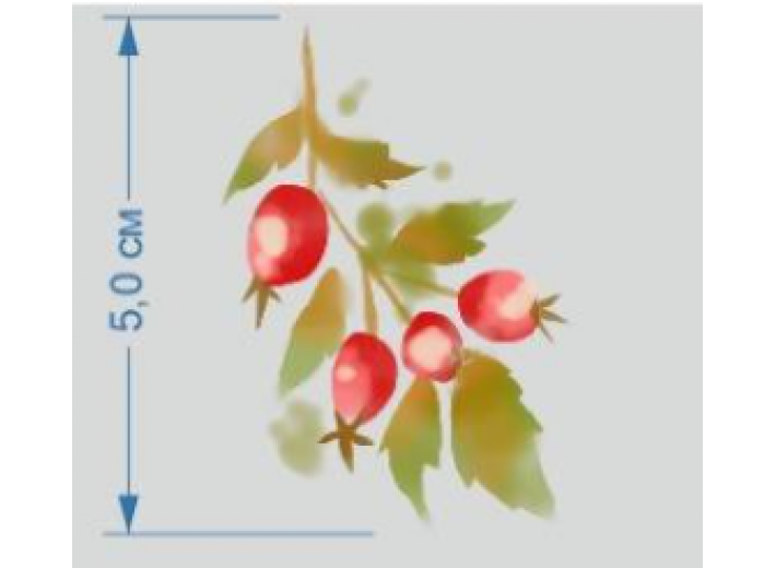 Термотрансфер Шиповник (5,0х5,1см)